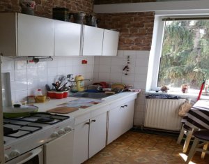 Vanzare apartament cu 2 camere in Grigorescu, strada Petuniei