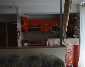 Apartment 2 rooms for sale in Cluj-napoca, zone Baciu