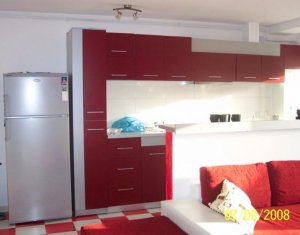 Apartament 2 camere mobilat, strada Tautiului