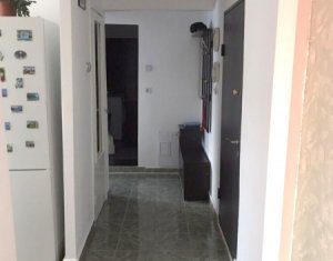 Vanzare apartament 2 camere cu garaj, renovat recent, cartier Marasti