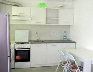 Vanzare apartament cu o camera cu potential de investitie, zona Roka Floresti
