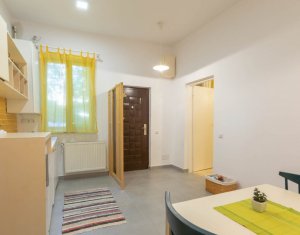 Apartament cu o camera, posibilitate investitie, zona semicentrala