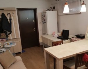 Apartment 2 rooms for sale in Cluj-napoca, zone Intre Lacuri