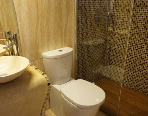 Apartament deosebit cu sauna si piscina interioara, 175 mp, Buna-Ziua