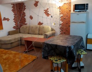 Ocazie pentru regim hotelier, Apartament 2 camere, demisol, Centru Vechi