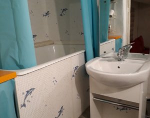 Ocazie pentru regim hotelier, Apartament 2 camere, demisol, Centru Vechi