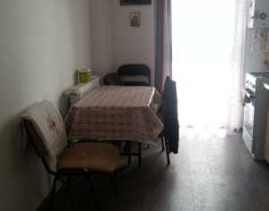 Appartement 1 chambres à vendre dans Cluj-napoca, zone Marasti