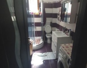 Apartament 2 camere 50 mp utili, mobilat si utilat, zona Calea Baciului