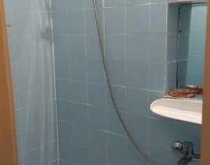 Appartement 1 chambres à vendre dans Cluj-napoca, zone Dambul Rotund