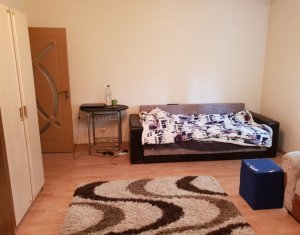 Apartament 1 camera, 40mp, curte comuna, gradina, mobilat si utilat modern, Iris