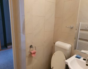Apartament 1 camera, finisat si utilat, Floresti