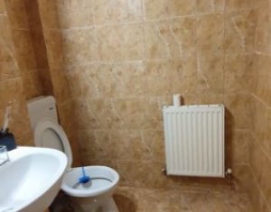 Apartment 1 rooms for sale in Cluj-napoca, zone Intre Lacuri