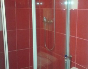 Appartement 1 chambres à vendre dans Cluj-napoca, zone Manastur