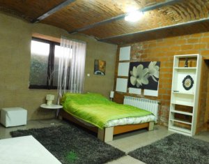 CENTRU - Apartament de vanzare 2 camere, zona strazii Napoca