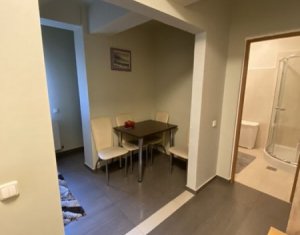 Apartment 1 rooms for sale in Cluj-napoca, zone Plopilor