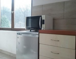 Studio for sale in Cluj-napoca, zone Manastur