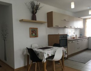 Apartament 2 camere cu balcon, gradina si garaj, Buna Ziua