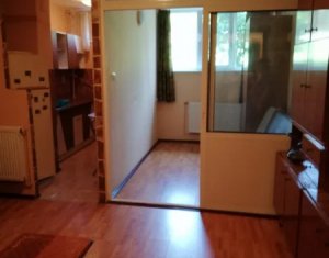 Appartement 1 chambres à vendre dans Cluj-napoca, zone Iris