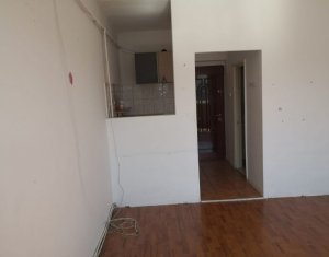 Appartement 1 chambres à vendre dans Cluj-napoca, zone Someseni