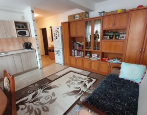 Apartament cu 2 camere, mobilat si utilat complet, strada Florilor