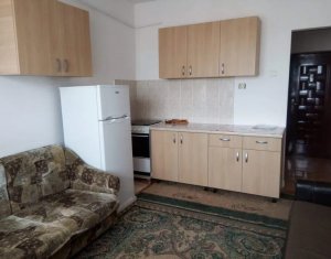 Appartement 1 chambres à vendre dans Cluj-napoca, zone Marasti