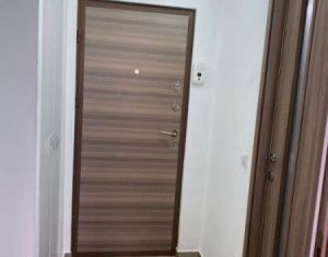 Apartament la cheie, lux, 1 camera, 31 mp, etaj 8 din 10, Manastur, Big