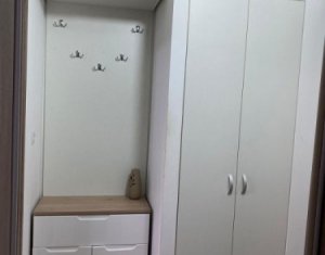 Apartament la cheie, lux, 1 camera, 31 mp, etaj 8 din 10, Manastur, Big