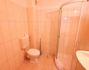 Apartament cu 2 camere, mobilat si utilat Florilor, Floresti