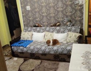 Appartement 2 chambres à vendre dans Cluj-napoca, zone Iris