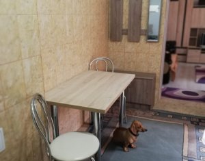 Appartement 1 chambres à vendre dans Cluj-napoca, zone Centru