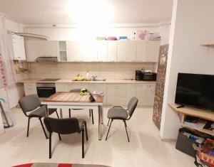 Apartament cu o camera, open space, strada Urusagului, Floresti