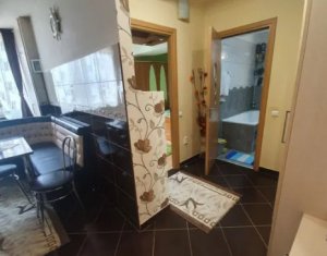 Appartement 2 chambres à vendre dans Cluj-napoca, zone Iris