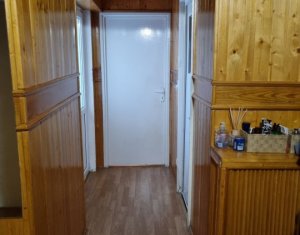 Appartement 2 chambres à vendre dans Cluj-napoca, zone Intre Lacuri