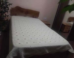 Vanzare apartament cu 2 camere in Grigorescu, Petuniei