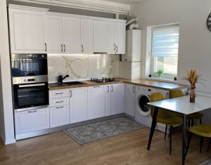 Apartament cu doua camere ultrafinisat, Teilor, Floresti