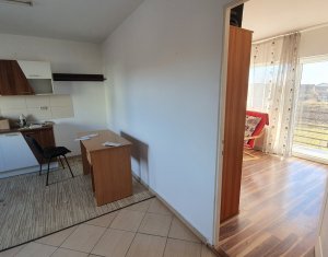 Apartament cu o camera, zona Terra, strada Avram Iancu