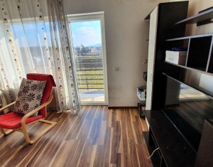 Apartament cu o camera, zona Terra, strada Avram Iancu