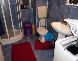 Appartement 1 chambres à vendre dans Cluj-napoca, zone Iris