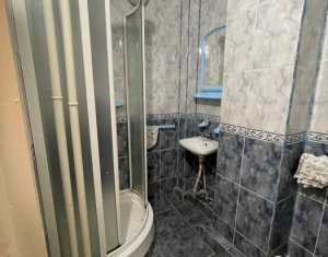 Appartement 1 chambres à vendre dans Cluj-napoca, zone Manastur