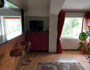 Appartement 1 chambres à vendre dans Cluj-napoca, zone Iris