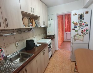 Apartament cu doua camere cu terasa, strada Porii, Floresti