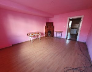 Apartament 2 camere, semidecomandate, demisol, central 