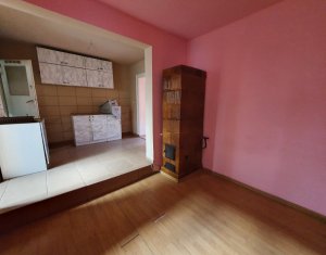 Apartament 2 camere, semidecomandate, demisol, central 