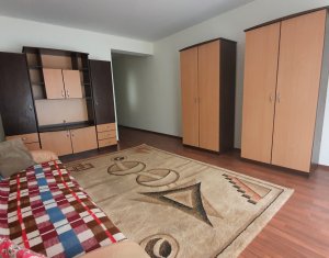 Apartament cu o camera, parcare subterana, Valea Garbaului zona Roata 