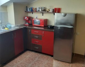 Apartament cu 1 camera la mansarda, 48+9mp terasa, zona Farmec Marasti