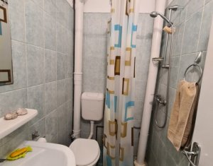 Appartement 1 chambres à vendre dans Cluj-napoca, zone Manastur