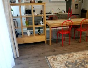 Apartament cu doua camere, finisat modern si mobilat, Valea Garbaului