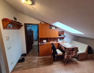 Apartament la mansarda, o camera, Manastur