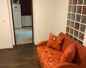 Apartament cu 3 camere, 65 mp, demisol, renovat, Zorilor