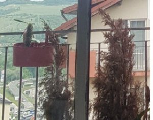 Vanzare apartament 2 camere, mobilat, utilat, Vivo